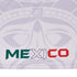 Fury Mexico Soccer Jersey – V-Neck Ripped Flag Design - Unisex