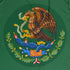 Fury Mexico Soccer Jersey – V-Neck Ripped Flag Design - Unisex