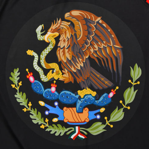 Fury Mexico Soccer Jersey – V-Neck Ripped Flag Design - Unisex