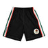 Fury Mexico Basketball Shorts - Mexico Mens Basketball Short